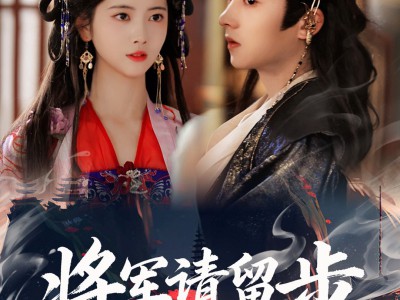 将军请留步