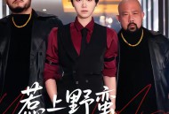 惹上野蛮大小姐