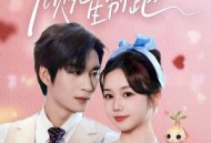 天降人参顾先生别跑