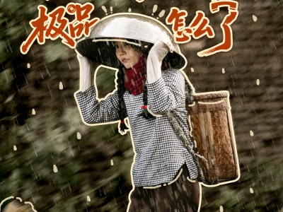 六零，我全家都是极品怎么了