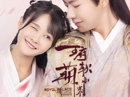 王府软萌小刺客MP4格式