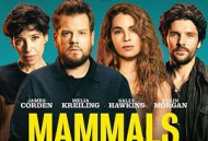 哺乳动物第一季