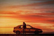 马尾藻海的奇迹