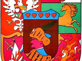 伏沃迪约夫斯基骑士