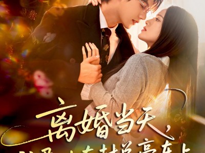 离婚当天，我孕吐在封总豪车上