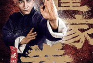 霍家拳之威震山河