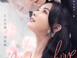 从零到一的爱情MP4格式