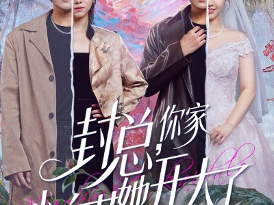 封总，你家小白花她开大了