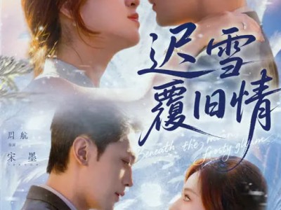 迟雪覆旧情