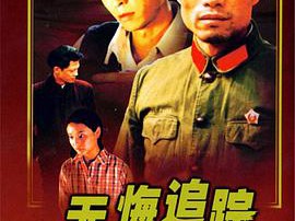 无悔追踪王志文版MP4格式