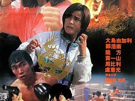 新龙争虎斗1992