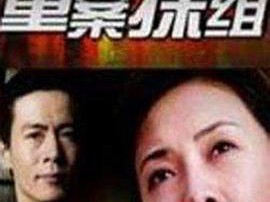 重案探组MP4格式