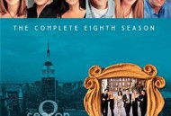 老友记  第八季