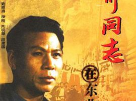 少奇同志在东北MP4格式