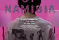 纳米比亚的沙漠