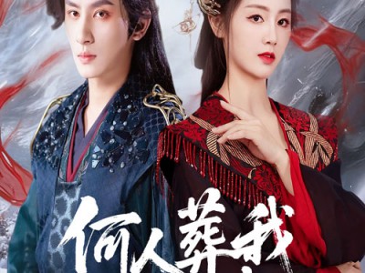 何人葬我忘川岸