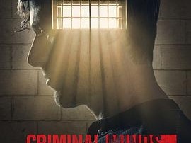 犯罪心理：演变第十七季