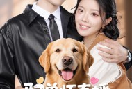 驭兽师直播听动物心声吃瓜破案