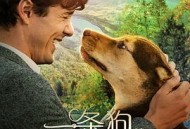 一条狗的回家路