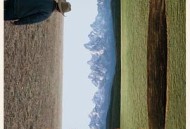 荒野迷案第一季