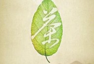 茶，一片树叶的故事MP4格式