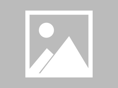 养父母盼我归期