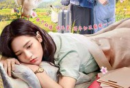 何加加的桃花源记MP4格式