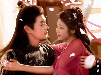 本夫人只想养老，请陛下自重