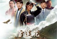 雪莲花盛开的地方