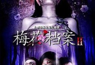 梅花档案2MP4格式