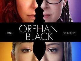 黑色孤儿 第三季