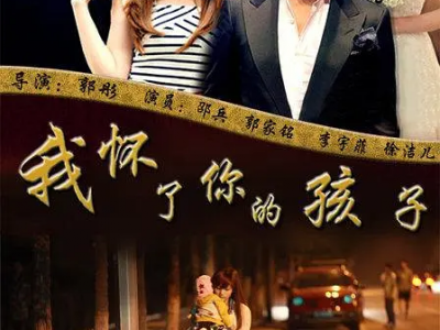 我怀了你的孩子MP4格式