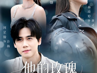 他的玫瑰与寒霜