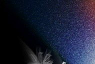 光合计划第二届