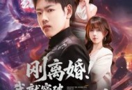 刚离婚！我就突破修仙金丹期