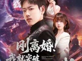 刚离婚！我就突破修仙金丹期