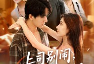 上司别闹哥只想应付催婚