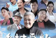 乡村爱情8MP4格式