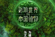 影响世界的中国植物MP4格式