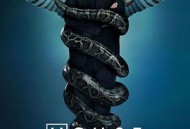 豪斯医生  第六季