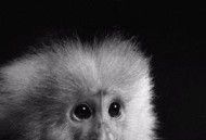 杰克做了什么？