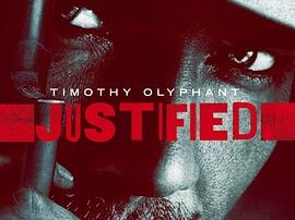 火线警探第二季