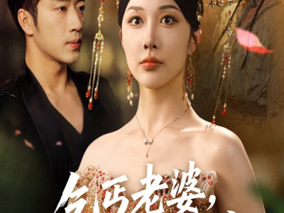 乞丐老婆助我登临至高