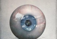 葛丽丝费德事件