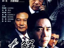 大鳄无形MP4格式