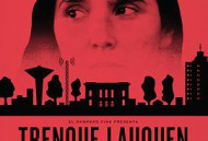 迷雾中的她(下)