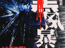 打黑风暴MP4格式