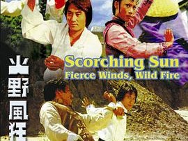 烈日狂风野火