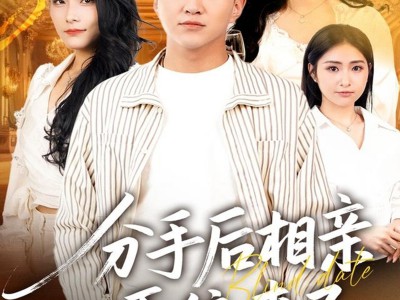 分手后相亲系统来了