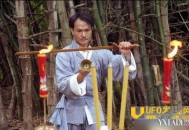 林正英怎么死的,林正英什么时候死的_灵异鬼话_UFO发现网